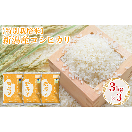 【先行予約】R8年産【特別栽培米】新潟産コシヒカリ 3kg×3 お米 精米 白米 ご飯 ブランド米 銘柄米 おにぎり お弁当 産地直送