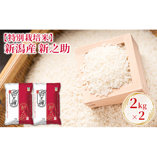 【先行予約】R8年産【特別栽培米】新潟産新之助 2kg×2 お米 精米 白米 ご飯 ブランド米 銘柄米 おにぎり お弁当 産地直送