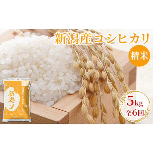 【先行予約】R8年産新潟産コシヒカリ精米5kg　全6回 お米 白米 ご飯 ブランド米 銘柄米 おにぎり お弁当 産地直送 