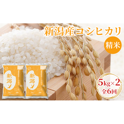 【先行予約】R8年産新潟産コシヒカリ精米5kg×2　全6回 お米 白米 ご飯 ブランド米 銘柄米 おにぎり お弁当 産地直送 