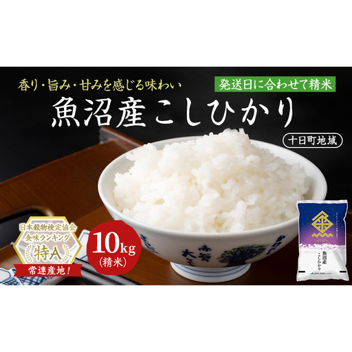魚沼産こしひかり(十日町地域) 精米 10kg(5kg×2) 米 お米 コシヒカリ 十日町市