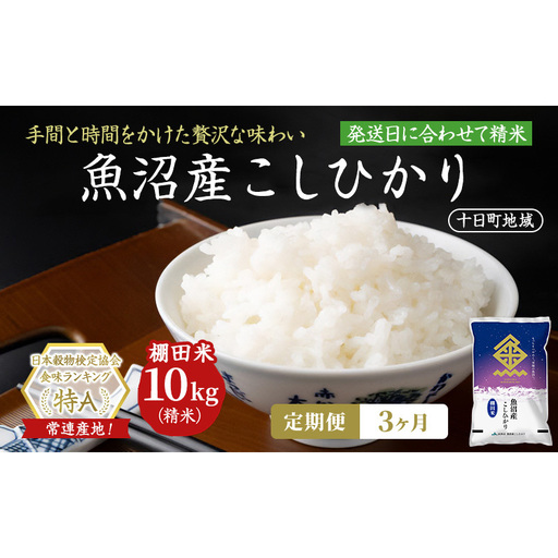 【令和8年産 先行予約】【3ヶ月定期便】魚沼産こしひかり 棚田米(十日町地域) 精米 10kg(5kg×2) 米 お米 コシヒカリ 定期 十日町市