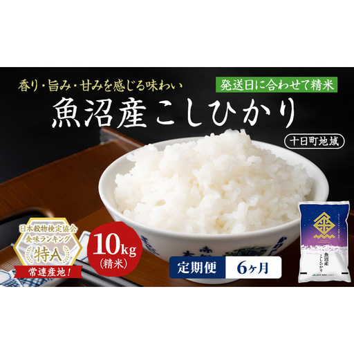 【令和8年産 先行予約】【6ヶ月定期便】魚沼産こしひかり(十日町地域) 精米 10kg(5kg×2) 米 お米 コシヒカリ 定期 十日町市