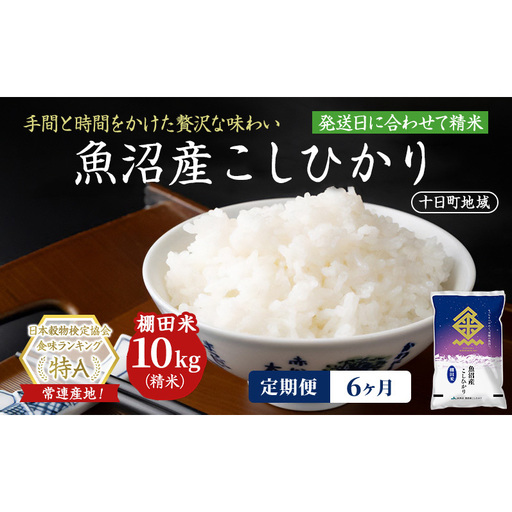 【令和8年産 先行予約】【6ヶ月定期便】魚沼産こしひかり 棚田米(十日町地域) 精米 10kg(5kg×2) 米 お米 コシヒカリ 定期 十日町市