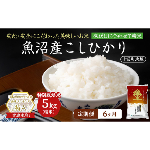 【令和8年産 先行予約】【6ヶ月定期便】特別栽培米 魚沼産こしひかり(十日町地域) 精米 5kg 米 お米 コシヒカリ 定期 十日町市