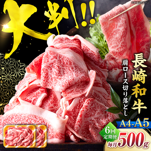【6回定期便】艶さし！【A4?A5】長崎和牛大判霜降り贅沢切り落とし 計500g（250g×2パック）＜株式会社MEAT PLUS＞[CFT074]