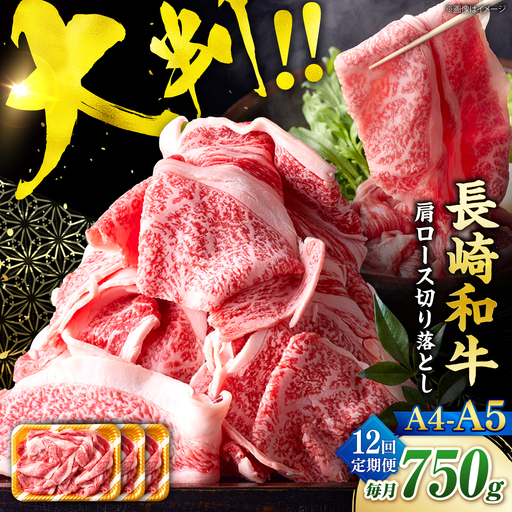 【12回定期便】艶さし！【A4?A5】長崎和牛大判霜降り贅沢切り落とし 計750g（250g×3パック）＜株式会社MEAT PLUS＞[CFT078]