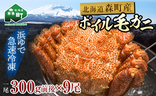 【訳あり】北海道・噴火湾産冷凍ボイル毛ガニ約300g前後×9尾  mr1-1434
