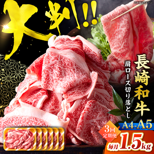 【3回定期便】艶さし！【A4?A5】長崎和牛大判霜降り贅沢切り落とし 計1.5kg（250g×6パック）＜株式会社MEAT PLUS＞[CFT085]