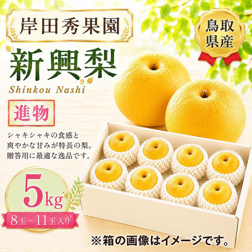 岸田秀果園 新興梨 進物5kg 【鳥取県 境港市】