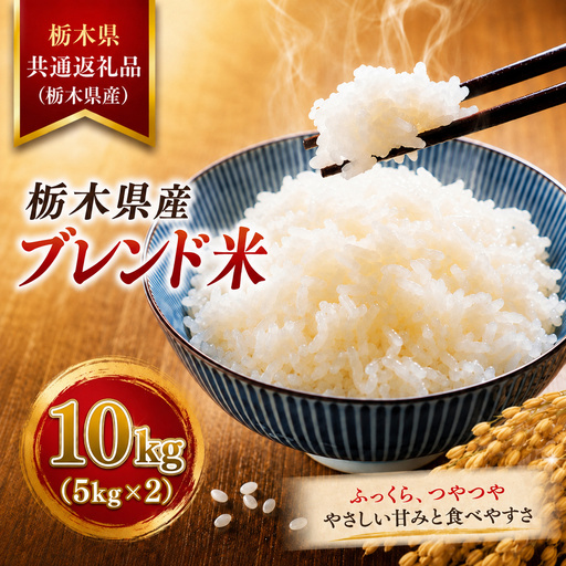 栃木県産 ブレンド米 10kg | ごはん 白米【栃木県共通返礼品】