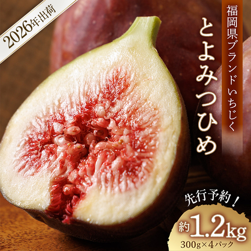 福岡県ブランド いちじく 「とよみつひめ」約1.2ｋｇ(約300ｇ×4パック)  | 無花果 イチジク 美容 ジャム 旬 果物 フルーツ 生 旬 朝ごはん 朝食 デザート お取り寄せ 送料無料 福岡県産 国産 東峰村  3S2-S