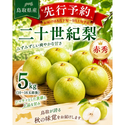東商果樹園 二十世紀梨(赤秀)5kg 【鳥取県 境港市】
