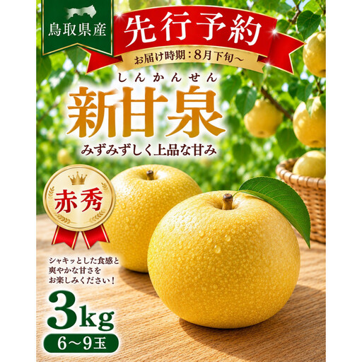 東商果樹園 新甘泉(赤秀)3kg 【鳥取県 境港市】