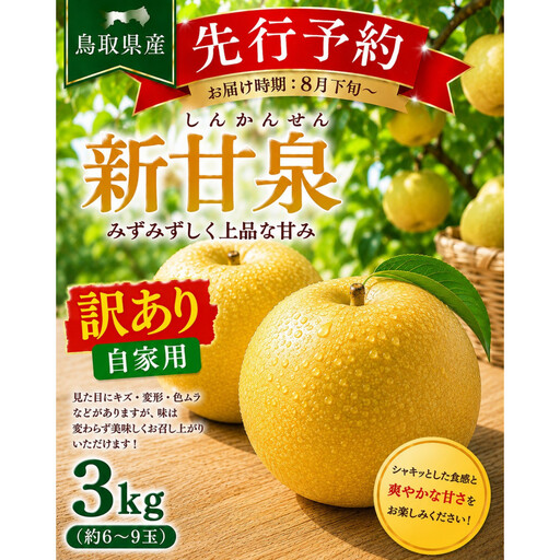 東商果樹園 新甘泉(訳あり)3kg 【鳥取県 境港市】