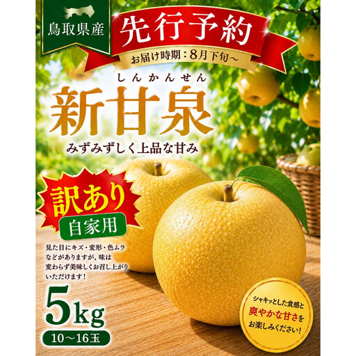 東商果樹園 新甘泉(訳あり)5kg 【鳥取県 境港市】