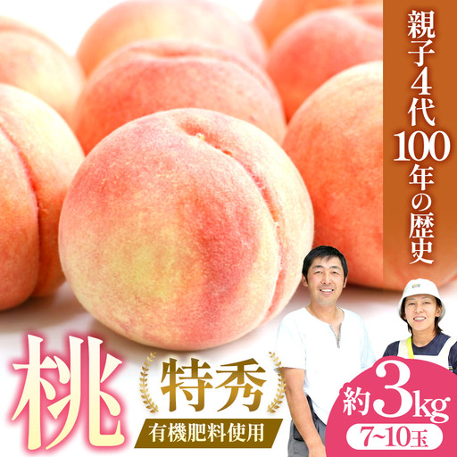 [2026年産・先行予約] 青森県産桃 約3kg(7〜10玉) 桃