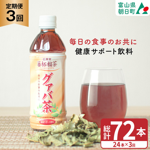 お茶 定期便 グァバ茶 500ml 24本 1ケース 3回 計72本