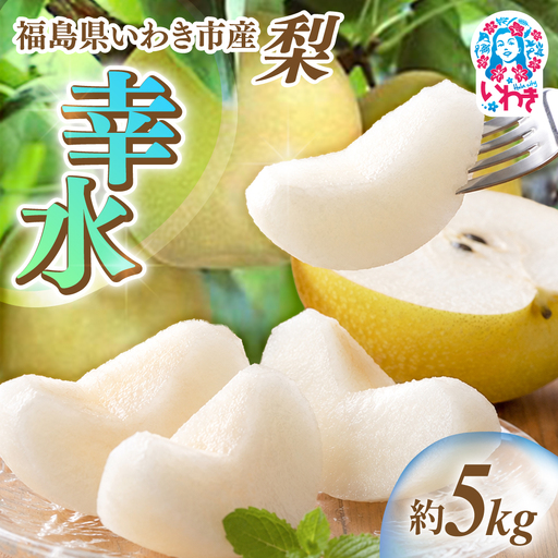 [先行予約] 梨 幸水 約5kg 梨 岡田梨園