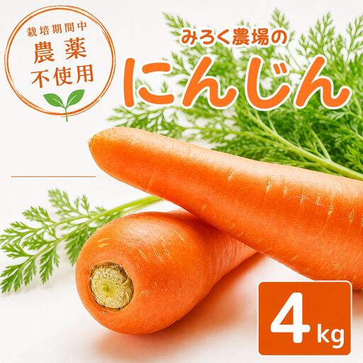 にんじん 約4kg 野菜 国産 先行予約