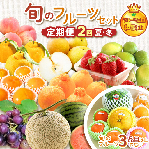 定期便 フルーツセット 年2回(夏・冬)[8060]
