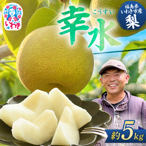 [先行予約] 梨 幸水 約5kg 梨 幸水 長谷川梨園
