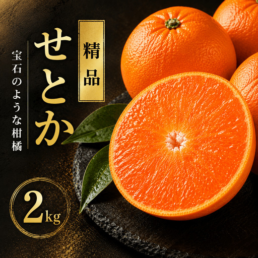 [先行予約] せとか 2kg 精品 ハウス栽培 みかん 贈答 ギフト プレゼント 愛媛県 愛南町 豊田農園