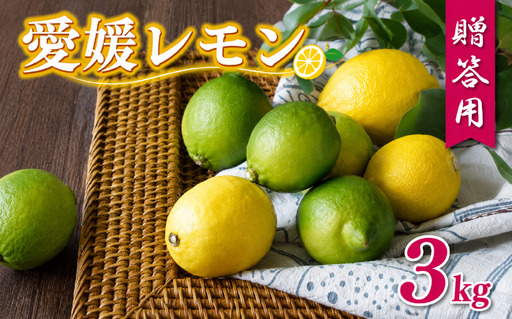 贈答用 レモン 3kg 前田ファーム