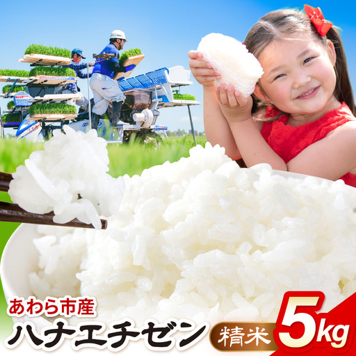 [先行予約][令和8年産]ハナエチゼン 精米 5kg(農事組合法人イーノなかのはま100)お米 ※2026年10月より順次発送予定 [aw139-a001]