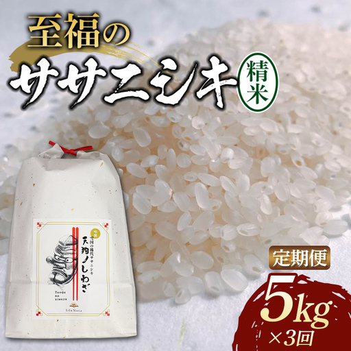 [令和8年産米先行予約](全3回定期便)至福のササニシキ 精米 5kg 米 お米 おこめ 山形県 新庄市