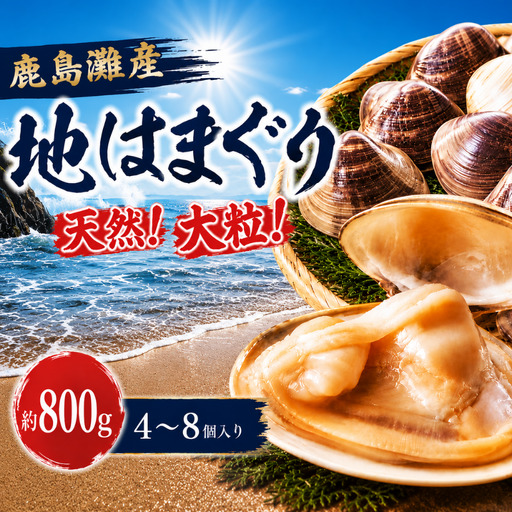 [ はまぐり ] 約800g 4〜8個 大粒 はまぐり