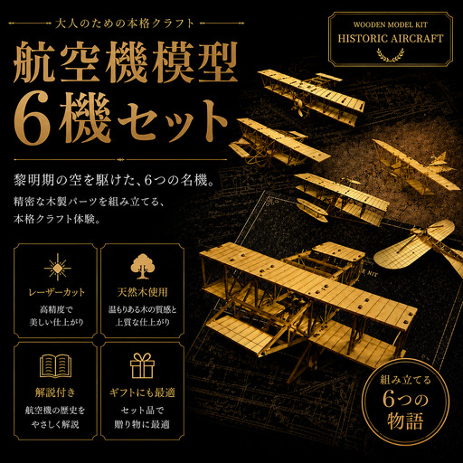 模型 航空機模型 6機セット 