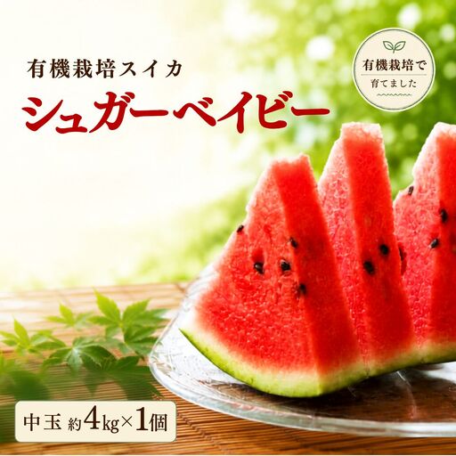 [有機栽培] スイカ シュガーベイビー 中玉 約4kg x 1個 |すいか 豊後高田市