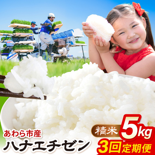 [先行予約][令和8年産]定期便 ≪3ヶ月連続お届け≫ ハナエチゼン 精米 5kg(計15kg)(農事組合法人イーノなかのはま100)お米 ※2026年10月より順次発送予定 [aw139-b001]