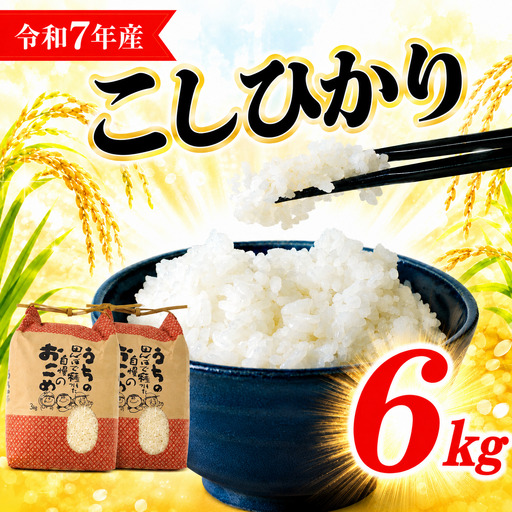 令和7年産 米 コシヒカリ 6kg (3kg×2) 白米 コメ こめ