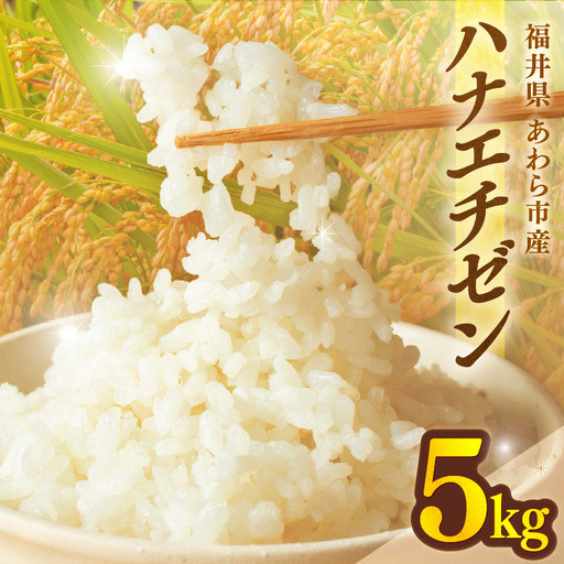 [先行予約][令和8年産]ハナエチゼン 精米 5kg (長谷川農園) お米 ※2026年10月より順次発送予定 [aw139-a003]
