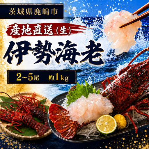 【 伊勢海老 】 約1kg 2～5尾 生 伊勢海老