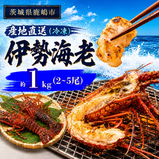 【 伊勢海老 】 約1kg 2～5尾 冷凍 伊勢海老