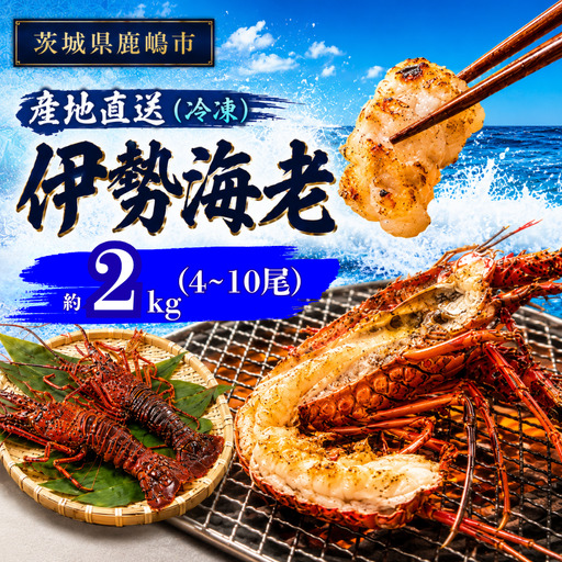 【 伊勢海老 】 約2kg 4～10尾 冷凍 伊勢海老