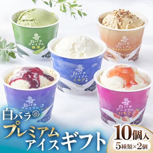 [大山乳業]白バラプレミアムアイスギフト10個入り アイスクリーム クリームチーズ スイーツ