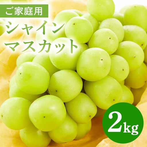 ご家庭用シャインマスカット 2kg 鈴木ぶどう園 (A07-006)