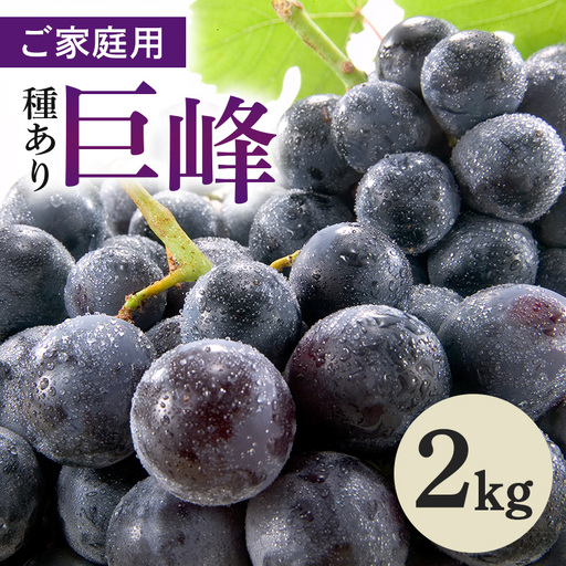 ご家庭用巨峰 2kg ( 種あり ) 鈴木ぶどう園 (A07-007)