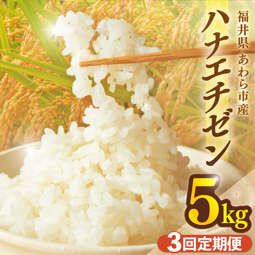 [先行予約][令和8年産]定期便 ≪3ヶ月連続お届け≫ ハナエチゼン 精米 5kg(計15kg)(長谷川農園) お米 ※2026年10月より順次発送予定 [aw139-b002]
