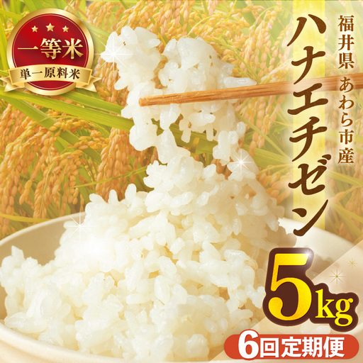 【先行予約】【令和8年産 一等米】定期便 ≪6ヶ月連続お届け≫ ハナエチゼン 精米 5kg（計30kg）（長谷川農園） 単一原料米  ※2026年10月より順次発送予定 [aw139-d004]