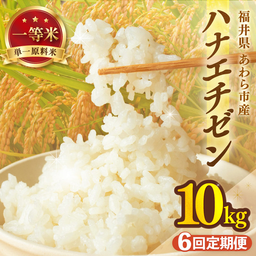 【先行予約】【令和8年産 一等米】定期便 ≪6ヶ月連続お届け≫ ハナエチゼン 精米 10kg（計60kg）（長谷川農園） 単一原料米  ※2026年10月より順次発送予定 [aw139-i003]