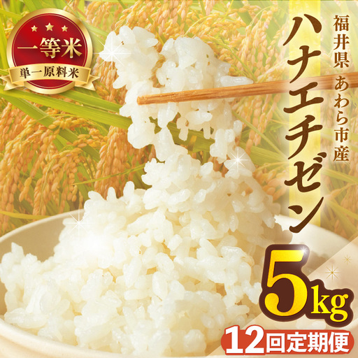 【先行予約】【令和8年産 一等米】定期便 ≪12ヶ月連続お届け≫ ハナエチゼン 精米 5kg（計60kg）（長谷川農園）  単一原料米  ※2026年10月より順次発送予定 [aw139-i004]