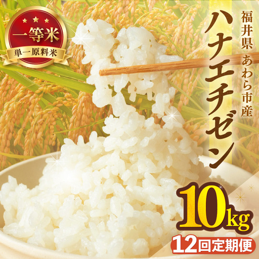 【先行予約】【令和8年産 一等米】定期便 ≪12ヶ月連続お届け≫ ハナエチゼン 精米 10kg（計120kg）（長谷川農園） 単一原料米  ※2026年10月より順次発送予定 [aw139-n002]