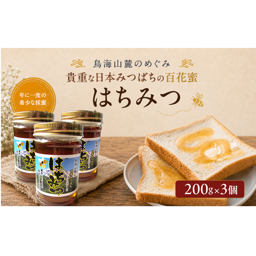 日本みつばちのはちみつ 百花蜜 3個セット 200g×3個 ( 蜂蜜 国産 ) はちみつ ハチミツ 秋田県 にかほ