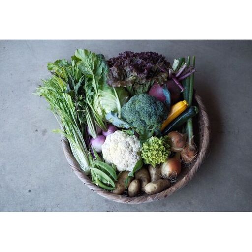 大舘農園　季節の野菜セットB（11～13品）