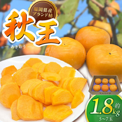 [2026年11月より順次発送]福岡県ブランド柿 秋王 5-7玉 約1.8kg 池尻農園 〔Fk113〕